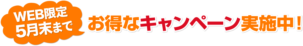 お得なキャンペーン実施中！